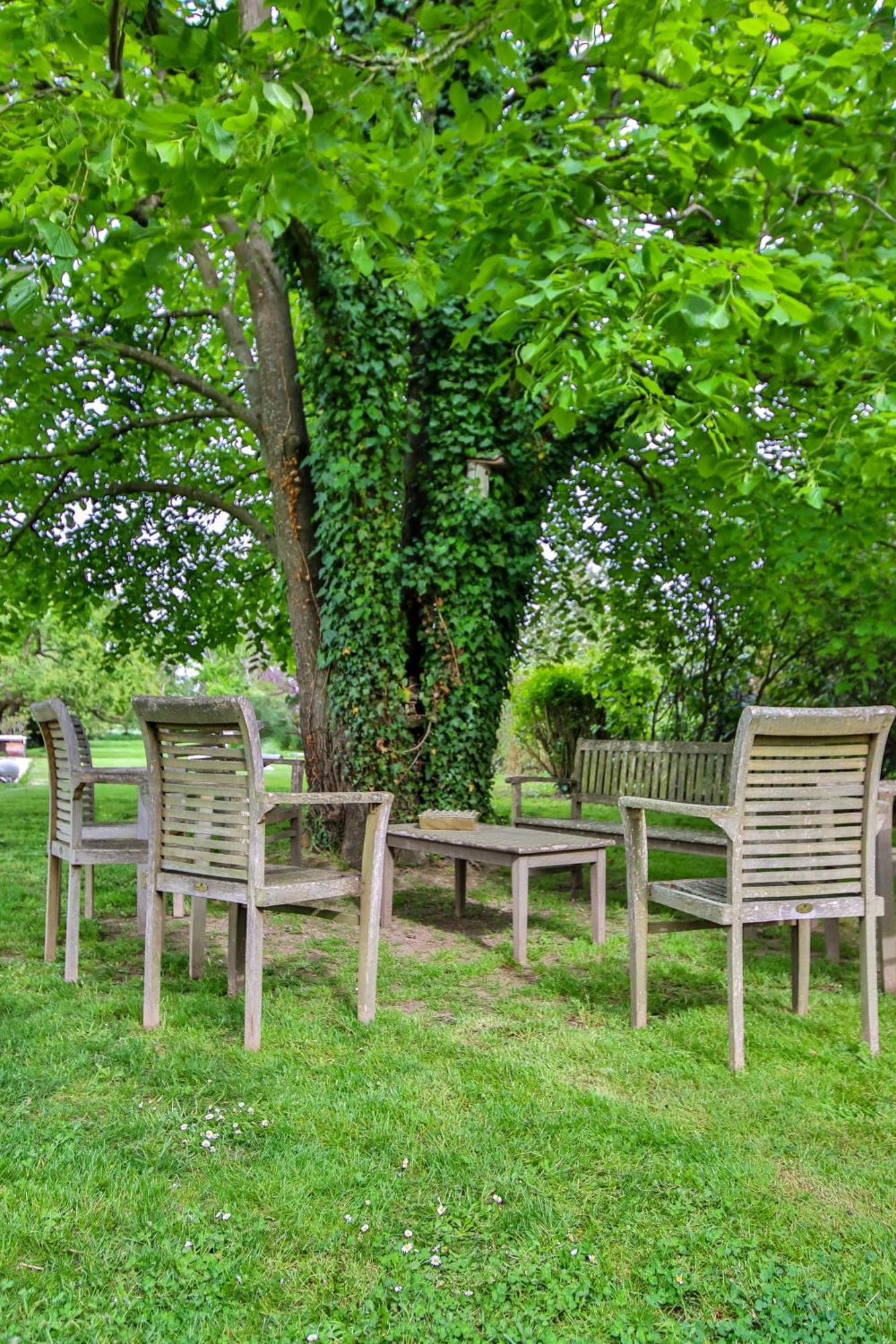 Domaine D'Aromm - Chambres D'Hotes & Gites - Piscine, Etangs & Animaux - Au Calme Ouches المظهر الخارجي الصورة