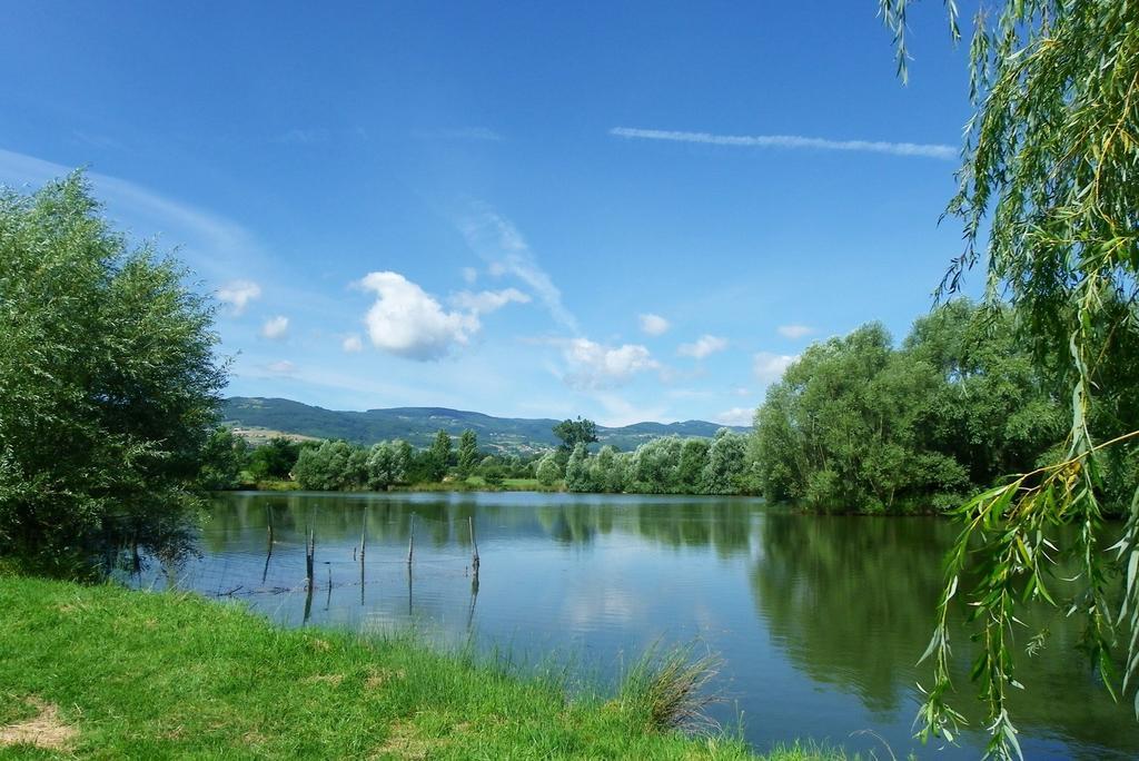 Domaine D'Aromm - Chambres D'Hotes & Gites - Piscine, Etangs & Animaux - Au Calme Ouches المظهر الخارجي الصورة