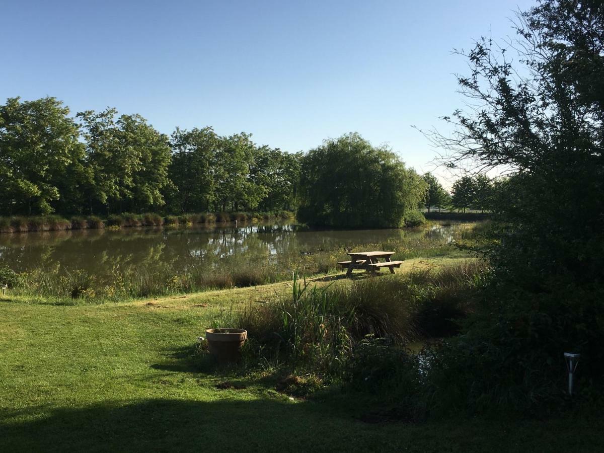 Domaine D'Aromm - Chambres D'Hotes & Gites - Piscine, Etangs & Animaux - Au Calme Ouches المظهر الخارجي الصورة